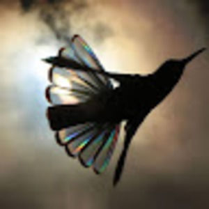 Meet your Posher, Debra